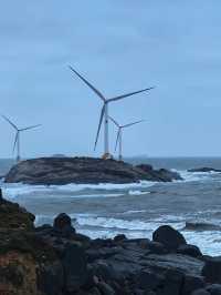 路的盡頭是海,但自由沒有盡頭