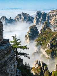 白石山夏季和冬季不同季節的不同風光