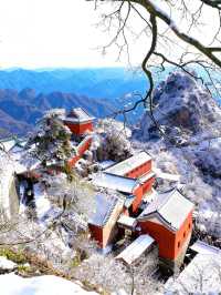 武當山冬日賞雪全攻略|紅牆金頂遇霧淞