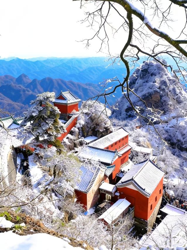 武當山冬日賞雪全攻略|紅牆金頂遇霧淞 武當山冬日賞雪全攻略|紅牆金頂遇霧淞