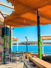 不出青島也能在 雪凇下和小鹿貼貼