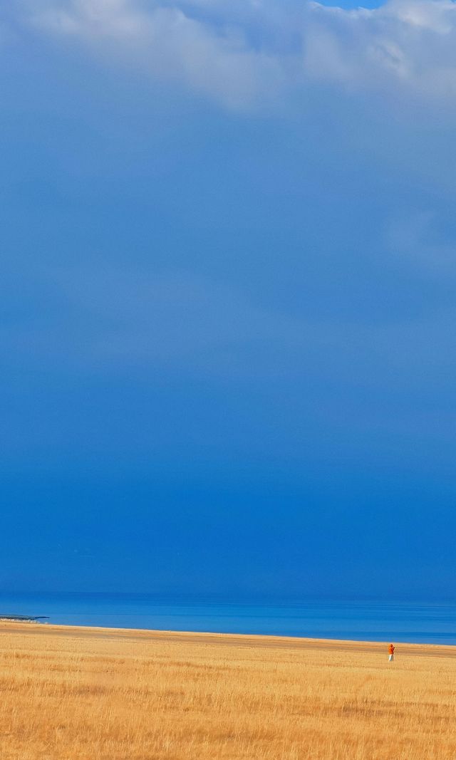 賽里木湖秋日環湖終極攻略 | 闖入一場盛大的金色夢境 賽里木湖秋日環湖終極攻略 | 闖入一場盛大的金色夢境