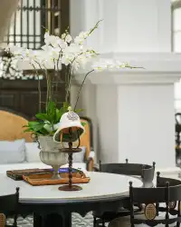 富國島JW萬豪度假酒店|置身沉浸式舞台劇