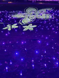 札幌｜白色燈光節