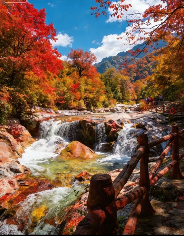 佛坪保姆級攻略帶你遊玩絕美景點 佛坪保姆級攻略帶你遊玩絕美景點