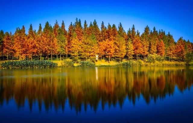 萬象 | 廣元之冬的歌行