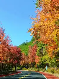 千島湖②｜秋冬環湖自駕