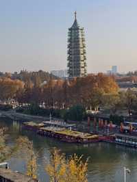 金陵城牆上的銀杏