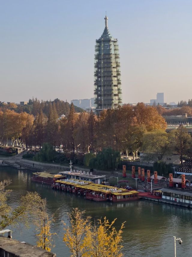 金陵城牆上的銀杏