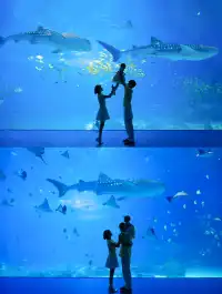 懶人福音！珠海長隆輕鬆兩日遊攻略路線