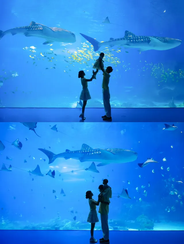 懶人福音！珠海長隆輕鬆兩日遊攻略路線