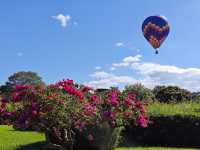 中國科學院西雙版納熱帶植物園真的太寶藏了，必須安利給大家