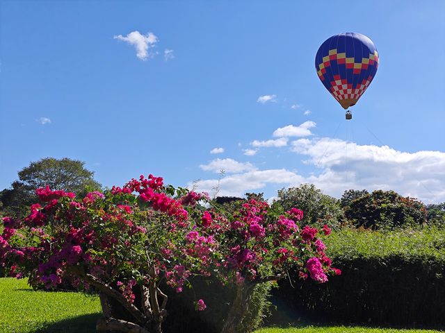 中國科學院西雙版納熱帶植物園真的太寶藏了，必須安利給大家
