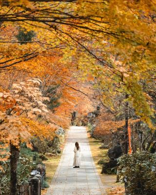 Autumn Limited Time Offer! A Day Trip Guide to Fukushima's Hidden Autumn Foliage Spots