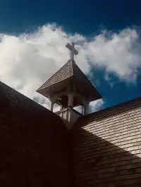 奧克蘭季節限定紫色藍花楹