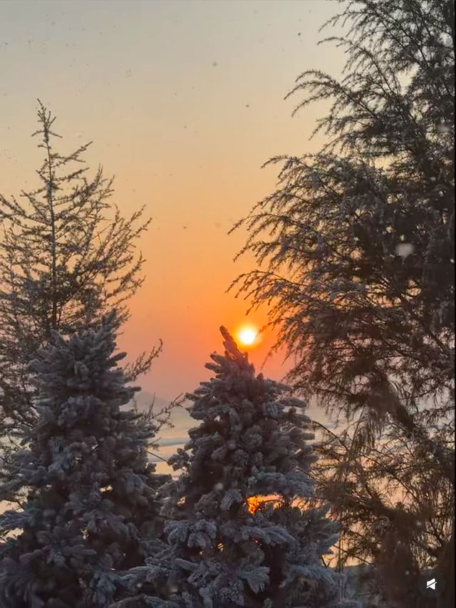 珠海絕美日落打卡地｜冬日限定「海上雪景」美到窒息！  推薦理由： 珠海日落天花板！植物拱門+海上金