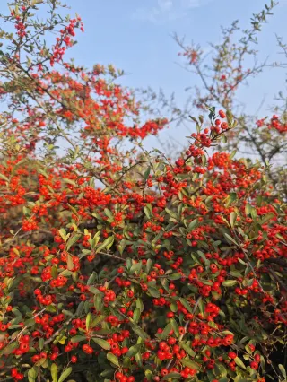 Chongqing Surrounding Lesser-Known Hiking Routes