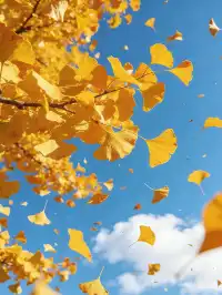 不是日本！廣東省自己的黃金大道