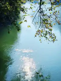 陽朔 | 十里畫廊精華段