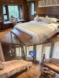 興義藏在森林裡的童話！星空樹屋太治癒了