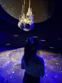 三生三世｜上海溫室花園 人少篇