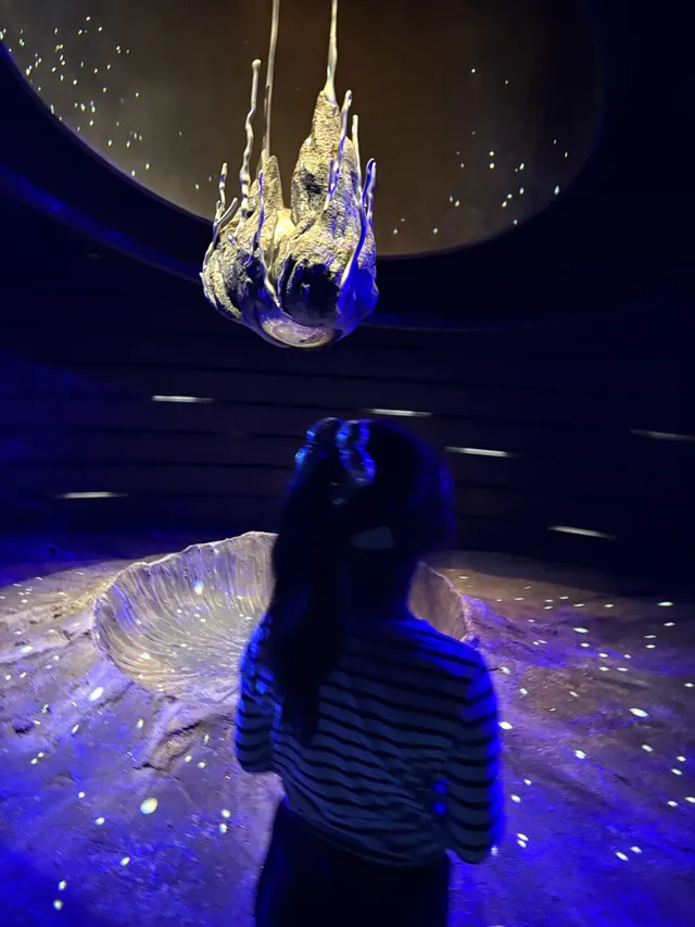 三生三世｜上海溫室花園 人少篇