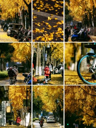 В Сучжоу, кроме улицы Даоцяня, есть ещё улица Фэнхуан