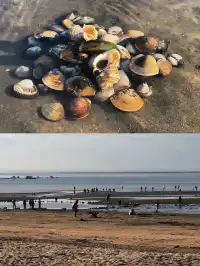 北海兩日遊攻略（不上島版）