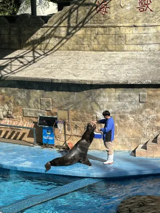 ป้ายเตือน | สวนสนุกมหาสมุทรฉางไท่ เทียนจูซาน