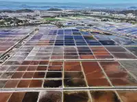 漳州東山島西港鹽田