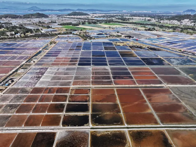 漳州東山島西港鹽田 漳州東山島西港鹽田