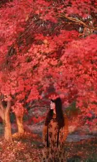 你在人潮擁擠的西湖邊,我在花開海上紅楓自由自在