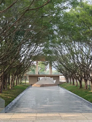 廣州1h直達拍到了我的人生聖誕照片