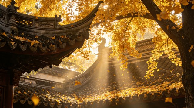 秋日頂流豫園400歲古銀杏迎來最佳觀賞期 秋日頂流豫園400歲古銀杏迎來最佳觀賞期