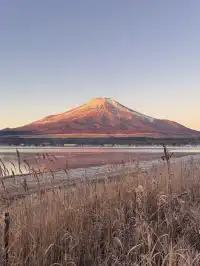 12.7實況live早起會被富士山獎勵粉色日出