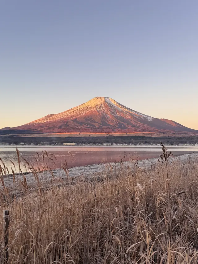 12.7實況live早起會被富士山獎勵粉色日出 12.7實況live早起會被富士山獎勵粉色日出