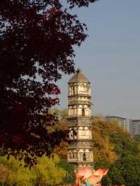 義烏開臣K酒店丨賞繡湖限定紅葉銀杏