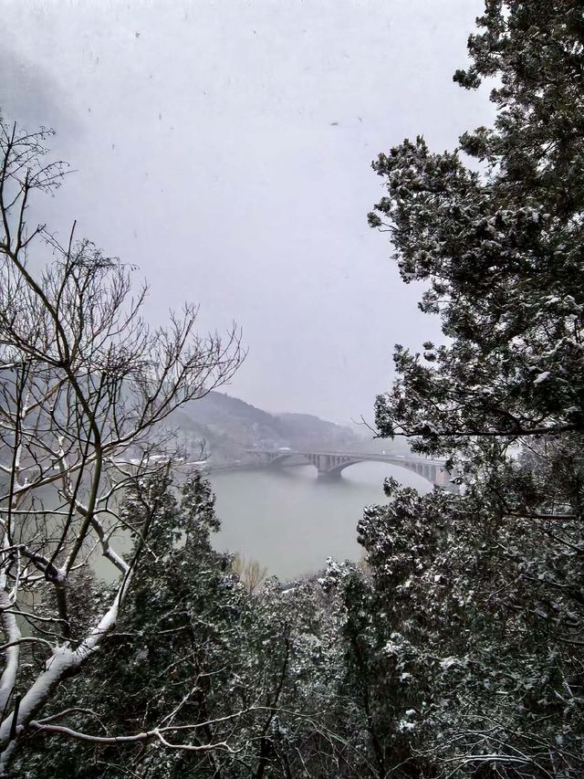 冬日限定版龍門石窟|白雪皚皚下的千年佛國仙境 冬日限定版龍門石窟|白雪皚皚下的千年佛國仙境