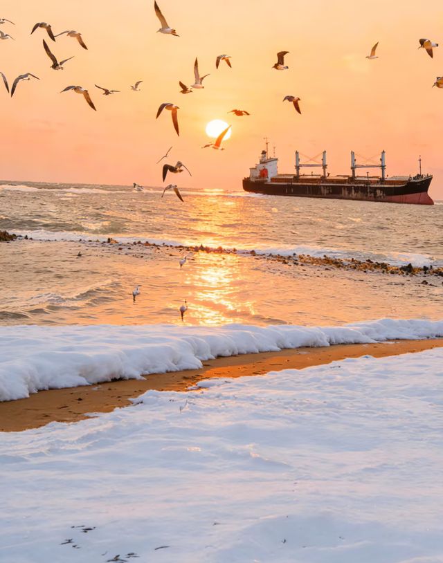 榮成神仙酒店!雪與海一鍵打包 榮成神仙酒店!雪與海一鍵打包