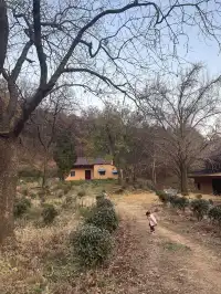 南京浦口隆興寺 | 人少幽靜的古寺