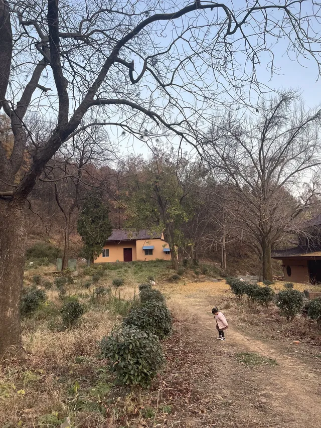 南京浦口隆興寺 | 人少幽靜的古寺 南京浦口隆興寺 | 人少幽靜的古寺