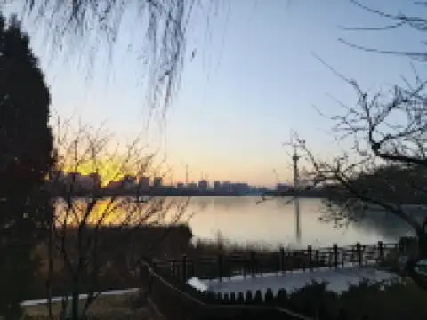 相約在下個櫻花盛開的季節＆打卡玉淵潭公園