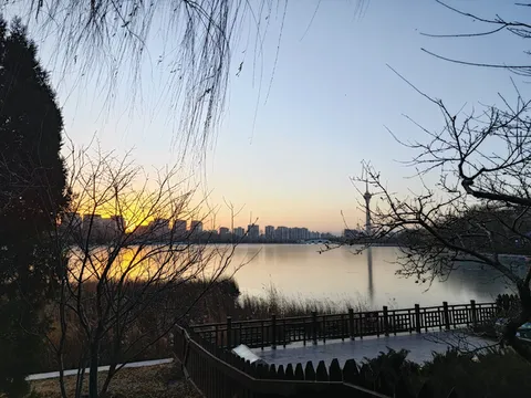 相約在下個櫻花盛開的季節＆打卡玉淵潭公園