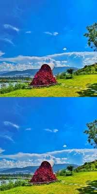 兩天遊雲南,一生困於此!誰懂啊!