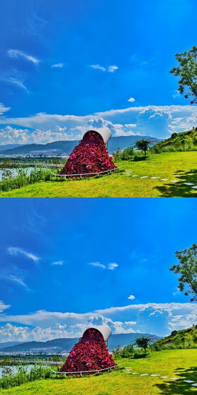 兩天遊雲南,一生困於此!誰懂啊! 兩天遊雲南,一生困於此!誰懂啊!