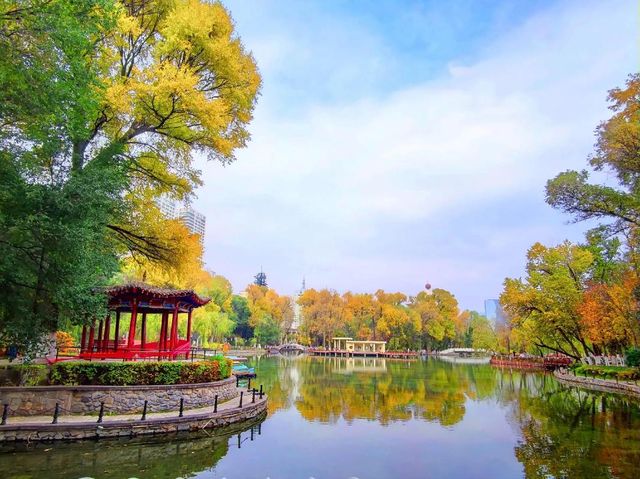 藏在城市裡的詩意秘境 —— 麒麟灣公園 藏在城市裡的詩意秘境 —— 麒麟灣公園