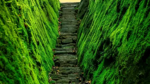 6 Hidden Cultural Gems That Are Becoming Legendary! Absolutely Stunning! — traveler post in Sanmenxia