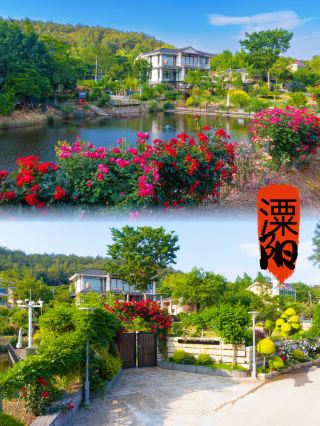 Team building retreat into the mountains and wilderness, a gentle natural healing experience