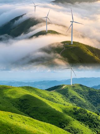Hubei’s “Little Altay” 21℃ summer coolness that feels like flying