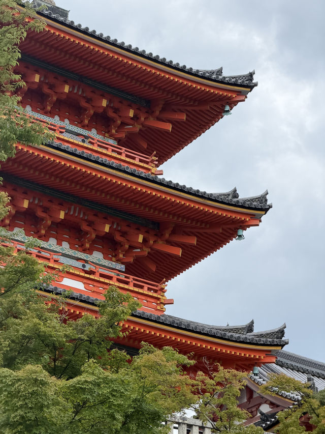 7天玩轉日本保姆級攻略直接抄作業